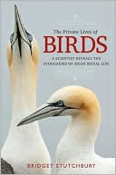 The Private Lives of Birds: A Scientist Reveals the Intricacies of Avian Social Life