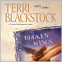 Broken Wings (Second Chances Series #4)