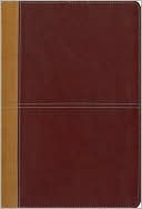 KJV/Amplified Parallel Bible, Large Print