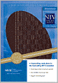 NIV Study Bible