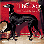 Dog: 5000 years of the Dog in Art