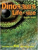 Dinosaurs Life Size: Discover How Big They Really Were