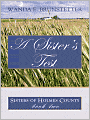A Sister's Test (Sisters of Holmes County Series #2)