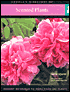 Scented Plants: Instant Reference to More Than 250 Plants