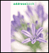 Chic Flowers: Mini Address Book