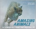 Amazing Animals: The Remarkable Things That Creatures Do