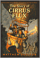 The Story of Cirrus Flux
