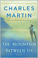 The Mountain Between Us