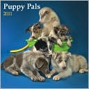 2011 Puppy Pals PLATO Square Wall Calendar by Plato Calendars: Calendar Cover