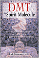 DMT: The Spirit Molecule: A Doctor's Revolutionary Research into the Biology of Near Death, and Mystical Experiences