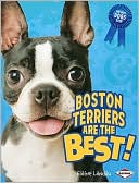 Boston Terriers Are the Best!