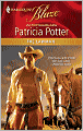 The Lawman (Harlequin Blaze #565)