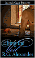 Lifting the Veil (Temptation Unveiled Series #1)