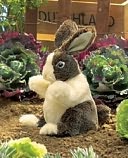 Dutch Baby Rabbit Puppet by Folkmanis: Product Image