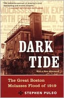 Dark Tide by Stephen Puleo: Book Cover