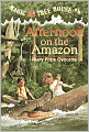 Afternoon on the Amazon (Magic Tree House Series #6)