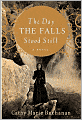 The Day the Falls Stood Still