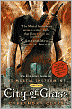 City of Glass (The Mortal Instruments Series #3)
