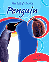 The Life Cycle of a Penguin