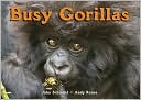 Busy Gorillas