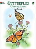 Butterflies Coloring Book