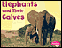 Elephants and Their Calves
