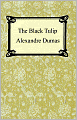 The Black Tulip