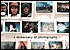 Here Is New York: A Democracy of Photographs