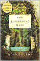 The Quickening Maze