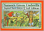 Nature's Green Umbrella: Tropical Rain Forests