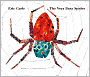 The Very Busy Spider: Oversized Lap Board Book