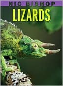 Lizards