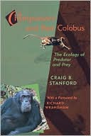Chimpanzee And Red Colobus
