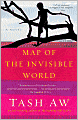 Map of the Invisible World
