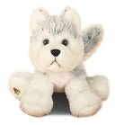 Webkinz Husky
