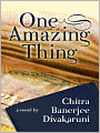 One Amazing Thing