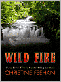 Wild Fire (Leopard Series #4)