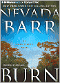 Burn (Anna Pigeon Series #16)