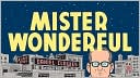 Mister Wonderful: A Love Story