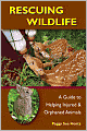 Rescuing Wildlife: A Guide to Helping Injured and Orphaned Animals