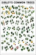 Sibley's Common Trees of Eastern North America
