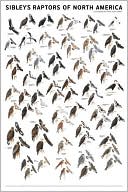 Sibley's Raptors of North America