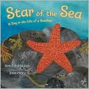 Star of the Sea: A Day in the Life of a Starfish