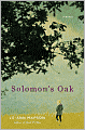 Solomon's Oak