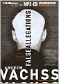 False Allegations (Burke Series #9)