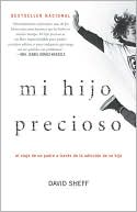 Mi hijo precioso by David Sheff: NOOK Book Cover