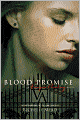 Blood Promise (Vampire Academy Series #4)