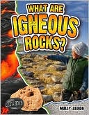 What Are Igneous Rocks?