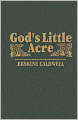 God's Little Acre