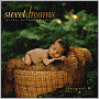 Sweet Dreams: Wishes for Our Children